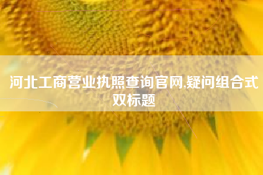 河北工商营业执照查询官网,疑问组合式双标题