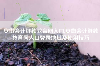 安徽会计继续教育网入口,安徽会计继续教育网入口登录地址及使用技巧