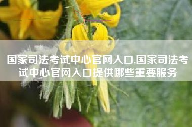 国家司法考试中心官网入口,国家司法考试中心官网入口提供哪些重要服务