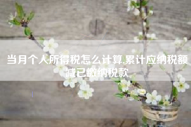 当月个人所得税怎么计算,累计应纳税额减已缴纳税款
