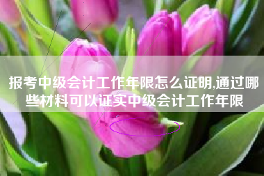 报考中级会计工作年限怎么证明,通过哪些材料可以证实中级会计工作年限