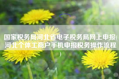 国家税务局河北省电子税务局网上申报(河北个体工商户手机申报税务操作流程
)