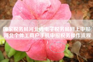 国家税务局河北省电子税务局网上申报(河北个体工商户手机申报税务操作流程
)