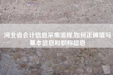 河北省会计信息采集流程,如何正确填写基本信息和职称信息