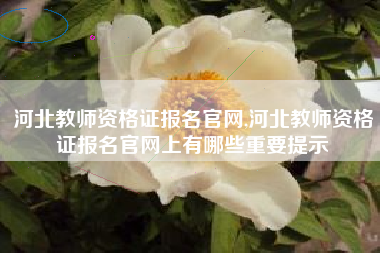 河北教师资格证报名官网,河北教师资格证报名官网上有哪些重要提示