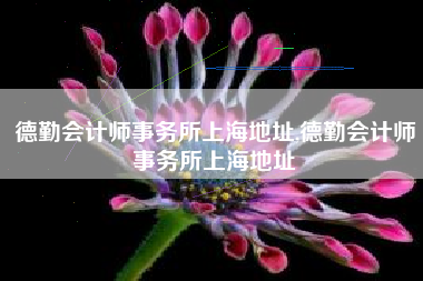 德勤会计师事务所上海地址,德勤会计师事务所上海地址