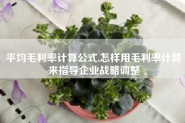 平均毛利率计算公式,怎样用毛利率计算来指导企业战略调整