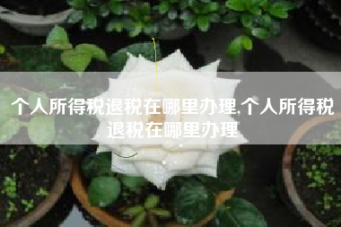 个人所得税退税在哪里办理,个人所得税退税在哪里办理