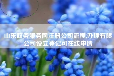 山东政务服务网注册公司流程,办理有限公司设立登记可在线申请