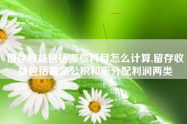 留存收益包括哪些科目怎么计算,留存收益包括盈余公积和未分配利润两类