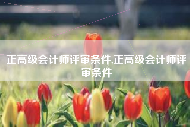 正高级会计师评审条件,正高级会计师评审条件