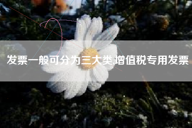 发票一般可分为三大类,增值税专用发票