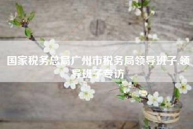 国家税务总局广州市税务局领导班子,领导班子专访