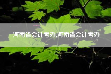 河南省会计考办,河南省会计考办