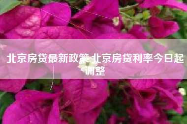 北京房贷最新政策,北京房贷利率今日起调整