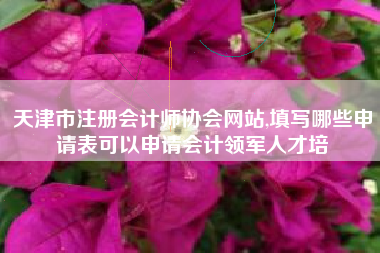 天津市注册会计师协会网站,填写哪些申请表可以申请会计领军人才培