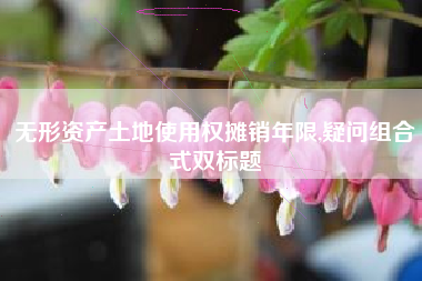 无形资产土地使用权摊销年限,疑问组合式双标题