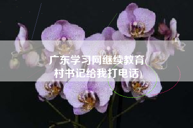 广东学习网继续教育(
村书记给我打电话)