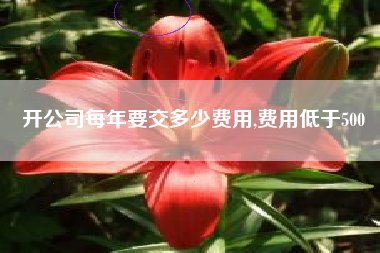开公司每年要交多少费用,费用低于500