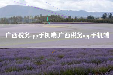 广西税务app手机端,广西税务app手机端