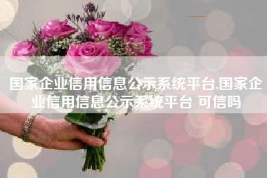 国家企业信用信息公示系统平台,国家企业信用信息公示系统平台 可信吗