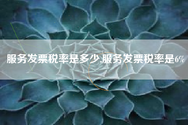服务发票税率是多少,服务发票税率是6%