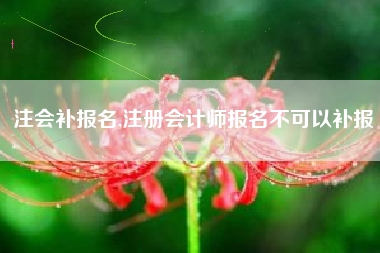 注会补报名,注册会计师报名不可以补报