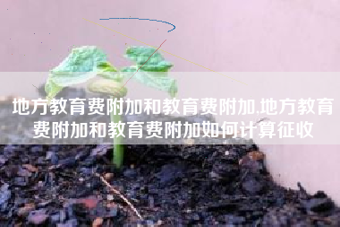 地方教育费附加和教育费附加,地方教育费附加和教育费附加如何计算征收