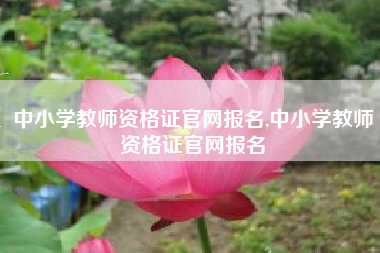 中小学教师资格证官网报名,中小学教师资格证官网报名