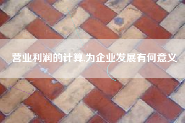 营业利润的计算,为企业发展有何意义