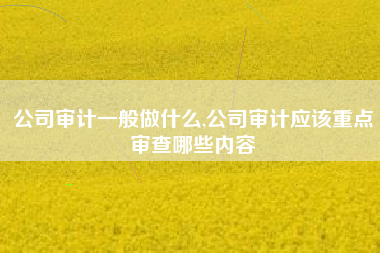 公司审计一般做什么,公司审计应该重点审查哪些内容