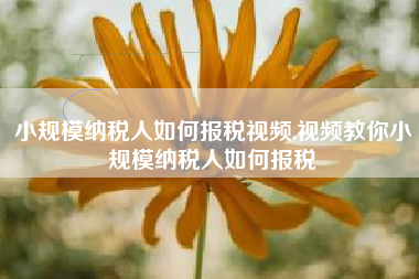 小规模纳税人如何报税视频,视频教你小规模纳税人如何报税