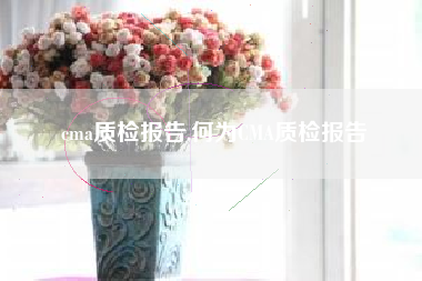 cma质检报告,何为CMA质检报告
