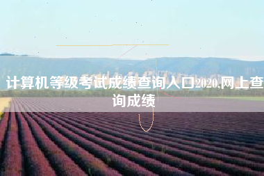 计算机等级考试成绩查询入口2020,网上查询成绩