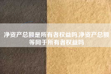 净资产总额是所有者权益吗,净资产总额等同于所有者权益吗