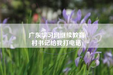 广东学习网继续教育(
村书记给我打电话)