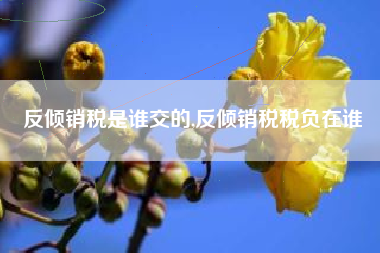 反倾销税是谁交的,反倾销税税负在谁