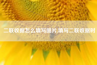 二联收据怎么填写图片,填写二联收据时