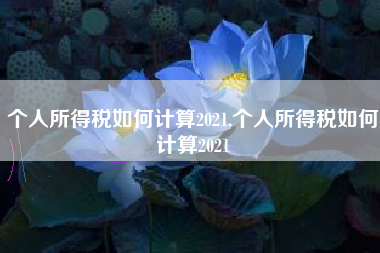 个人所得税如何计算2021,个人所得税如何计算2021