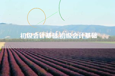 初级会计基础,初级会计基础
