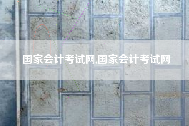 国家会计考试网,国家会计考试网