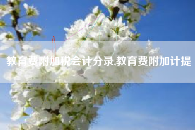 教育费附加税会计分录,教育费附加计提