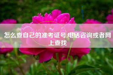 怎么查自己的准考证号,电话咨询或者网上查找