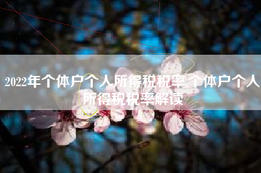 2022年个体户个人所得税税率,个体户个人所得税税率解读