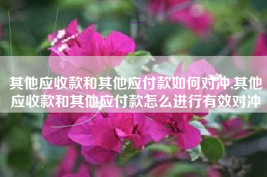 其他应收款和其他应付款如何对冲,其他应收款和其他应付款怎么进行有效对冲