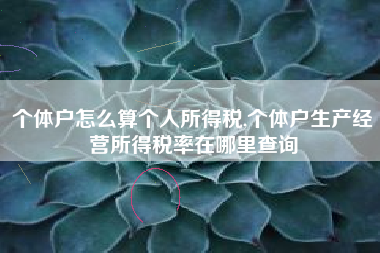 个体户怎么算个人所得税,个体户生产经营所得税率在哪里查询
