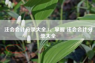 注会会计分录大全,1、掌握 注会会计分录大全