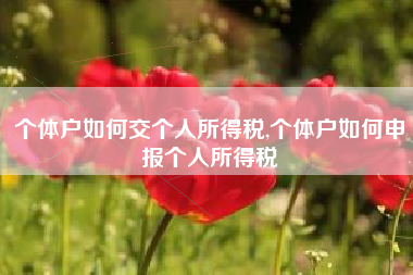 个体户如何交个人所得税,个体户如何申报个人所得税
