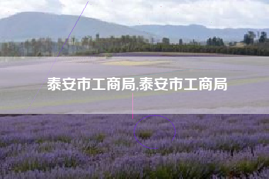 泰安市工商局,泰安市工商局