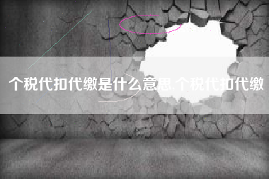 个税代扣代缴是什么意思,个税代扣代缴